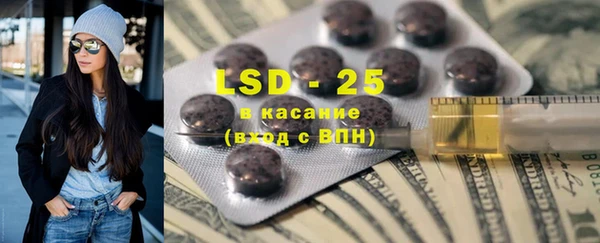 PSILOCYBIN Белокуриха