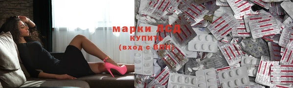 PSILOCYBIN Белокуриха