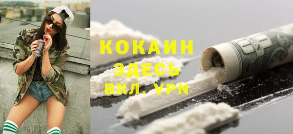 PSILOCYBIN Белокуриха