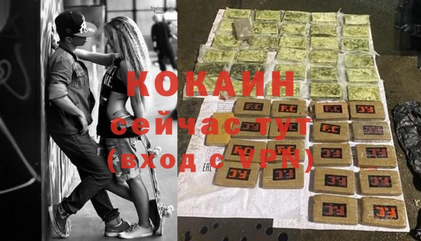 сатива Белоозёрский