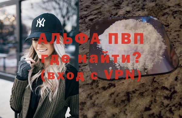 PSILOCYBIN Белокуриха