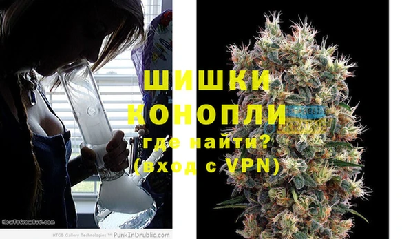 сатива Белоозёрский