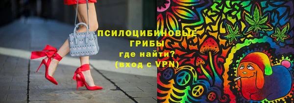 PSILOCYBIN Белокуриха