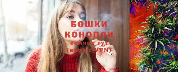 сатива Белоозёрский