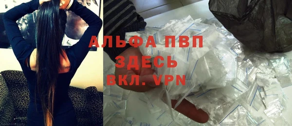сатива Белоозёрский