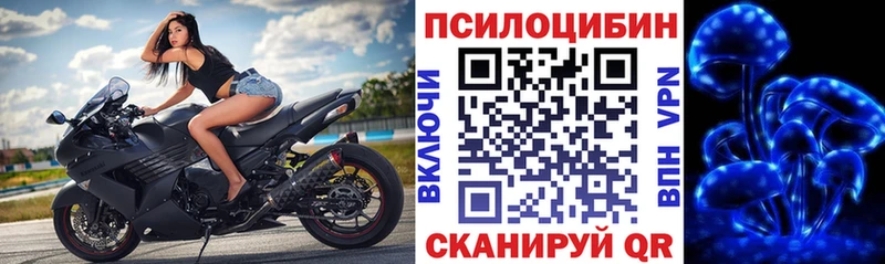 Псилоцибиновые грибы прущие грибы  где найти наркотики  Гулькевичи 